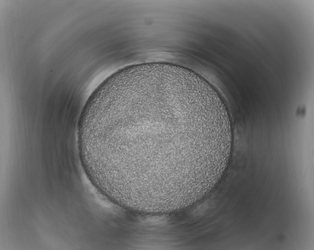 X0000111831047200908131541