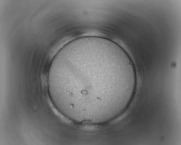 X0000111831049200908131542