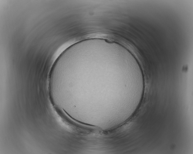 X0000111831050200908131542