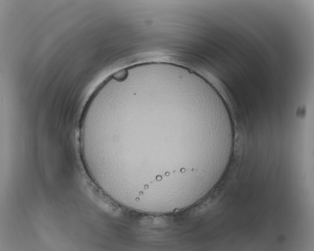 X0000111831051200908131542