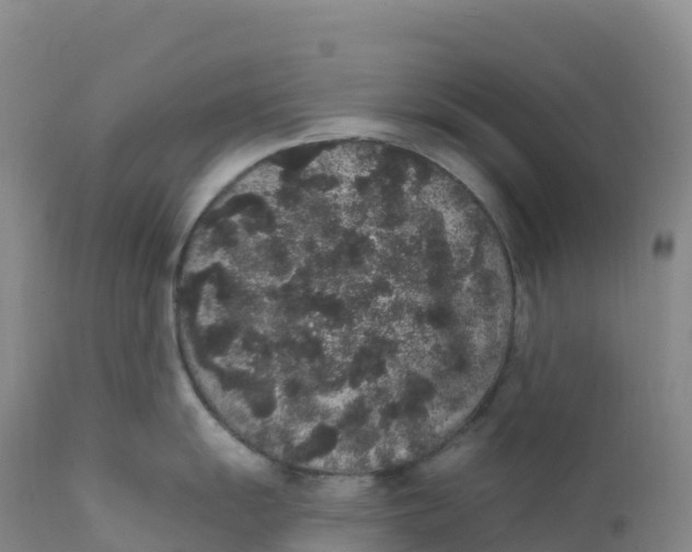 X0000111831055200908131542