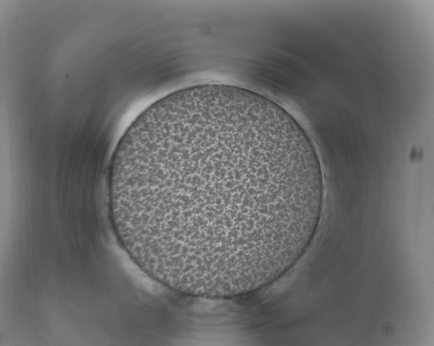 X0000111831056200908131542