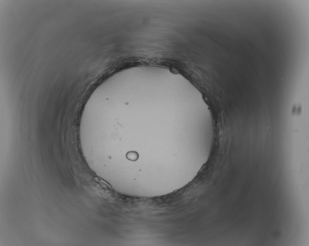 X0000111831057200908131541