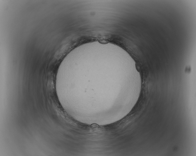 X0000111831058200908131541