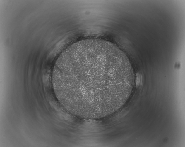 X0000111831059200908131541