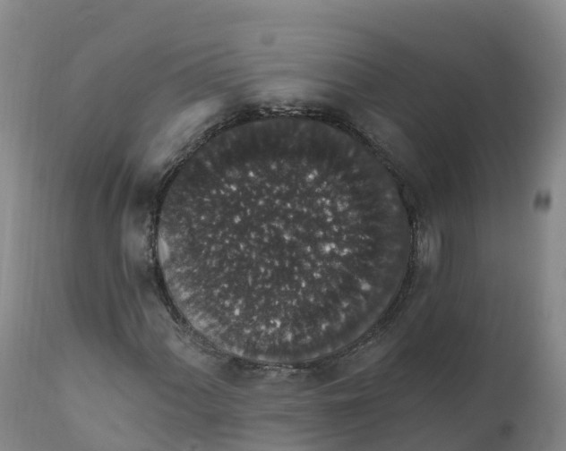 X0000111831060200908131541