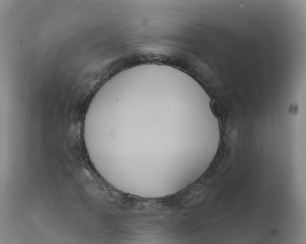 X0000111831061200908131541