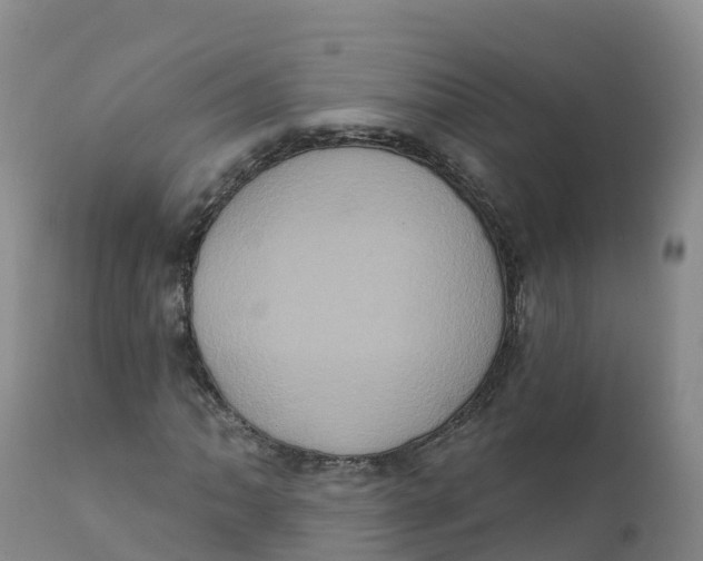 X0000111831062200908131541