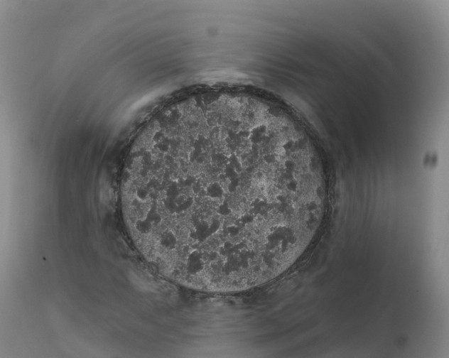 X0000111831063200908131541