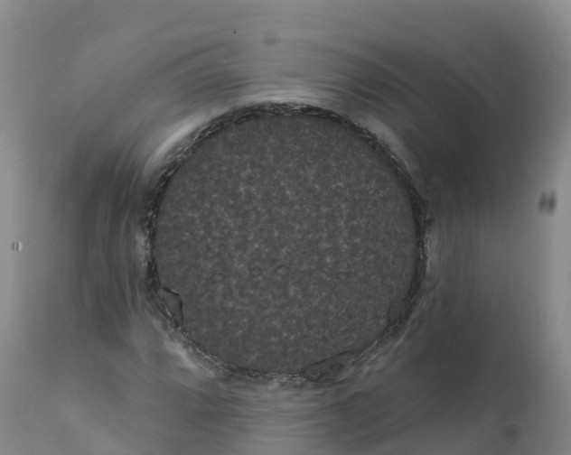 X0000111831064200908131541