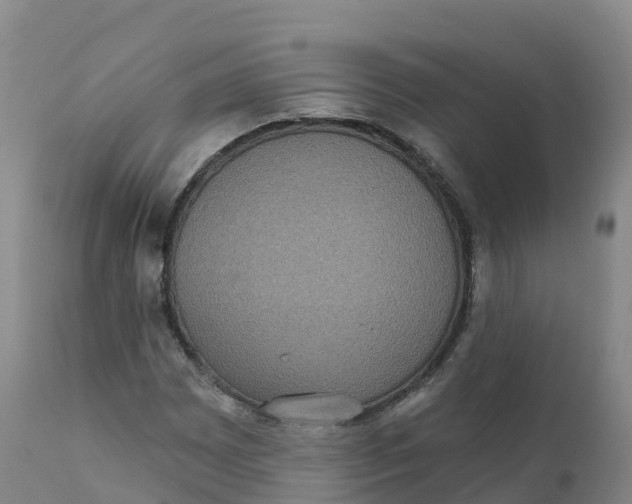 X0000111831065200908131541