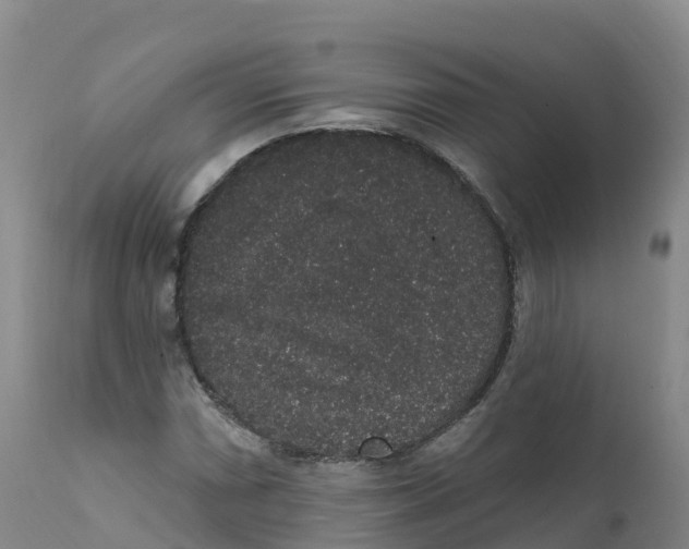 X0000111831066200908131541