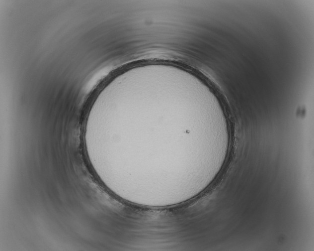 X0000111831067200908131541