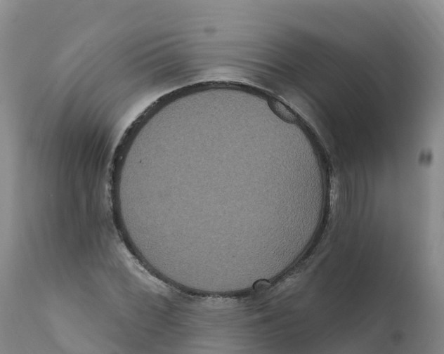 X0000111831068200908131541