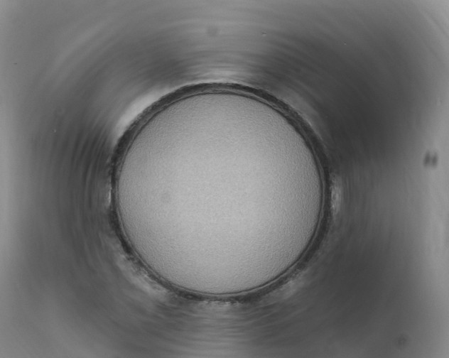 X0000111831069200908131541