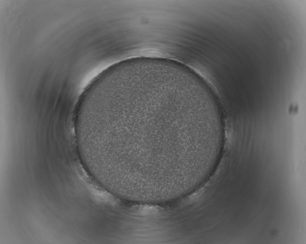 X0000111831070200908131541