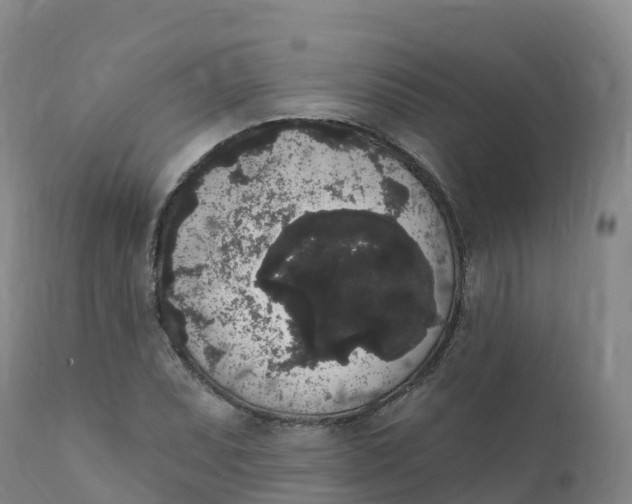 X0000111831071200908131541