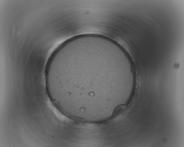 X0000111831072200908131541