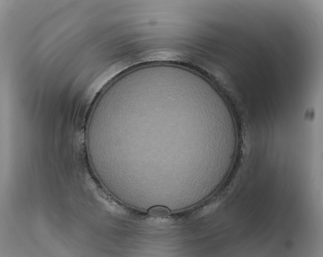 X0000111831073200908131541