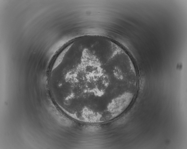 X0000111831074200908131541