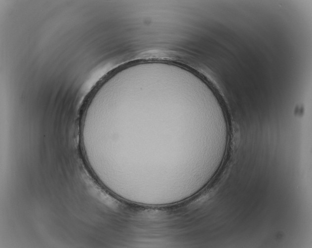 X0000111831075200908131541