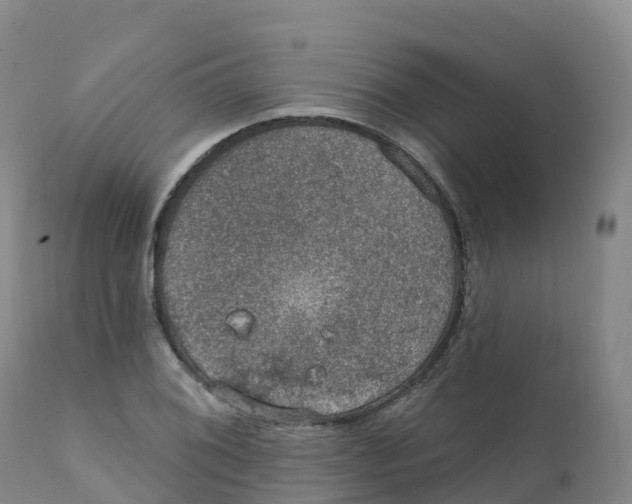 X0000111831076200908131541