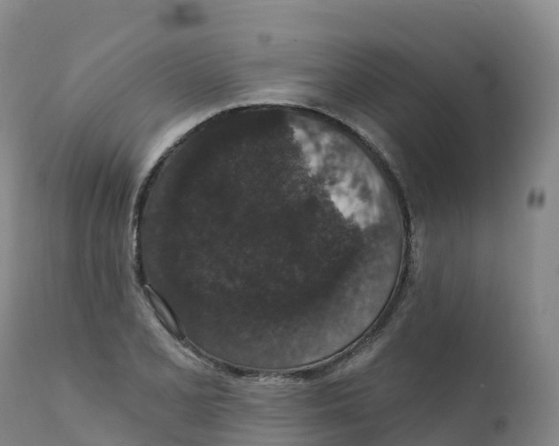 X0000111831077200908131541