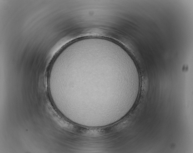 X0000111831078200908131541