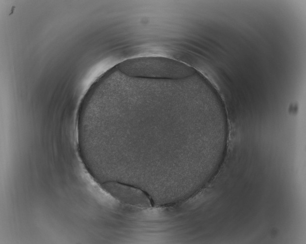 X0000111831080200908131541