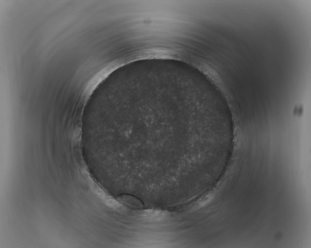 X0000111831081200908131541