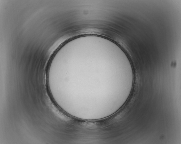 X0000111831082200908131541