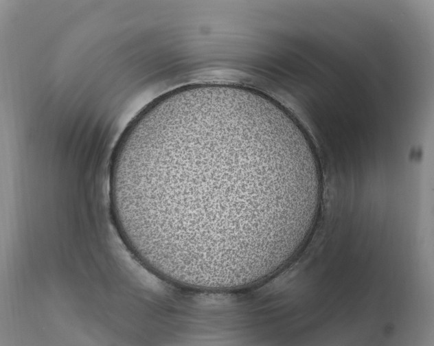 X0000111831083200908131541