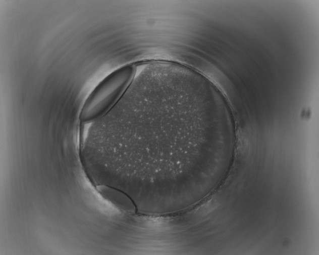 X0000111831084200908131541