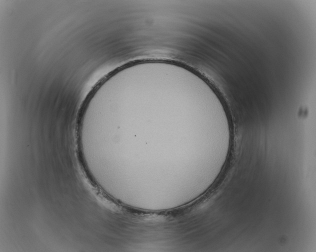 X0000111831085200908131541