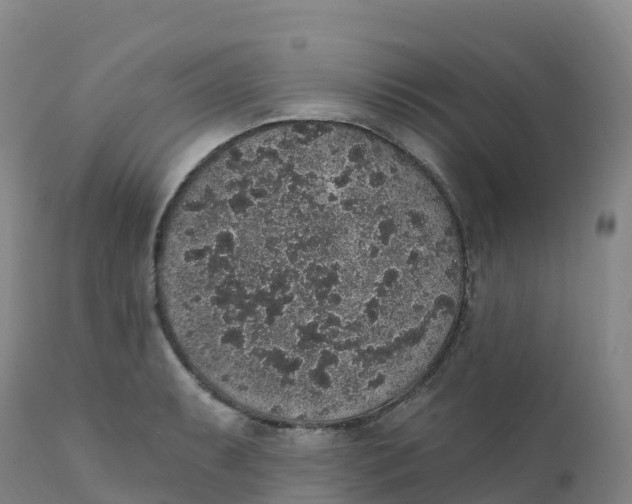 X0000111831087200908131541