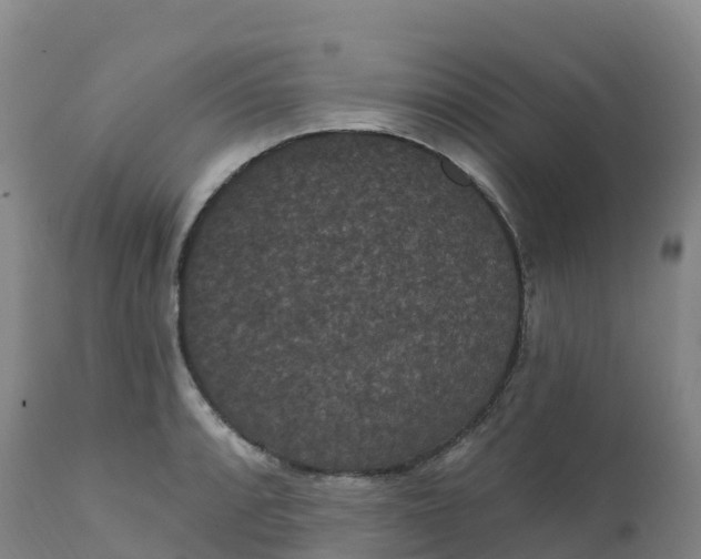 X0000111831088200908131541