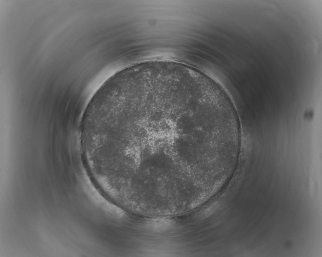 X0000111831090200908131540