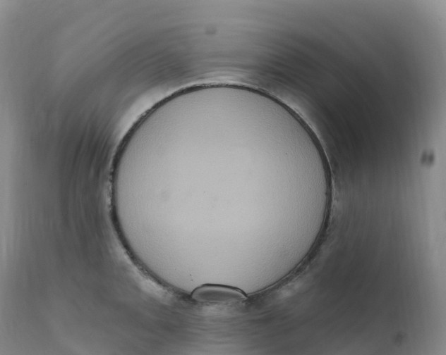 X0000111831093200908131540