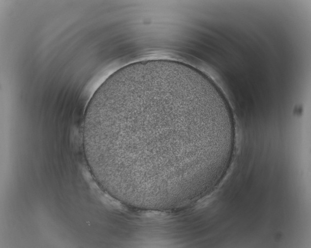 X0000111831097200908131540