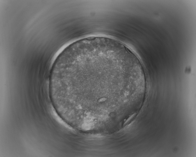 X0000111831100200908131540