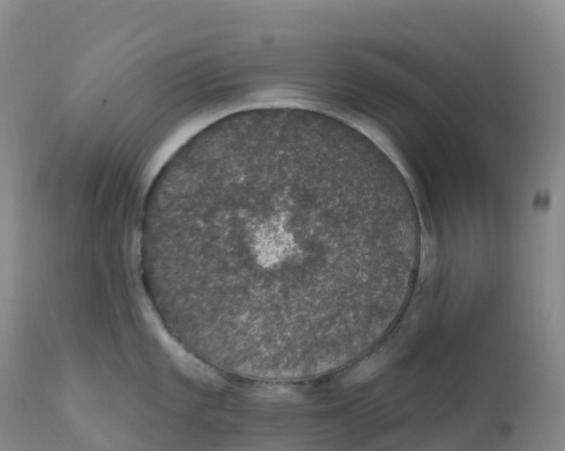 X0000111831101200908131540