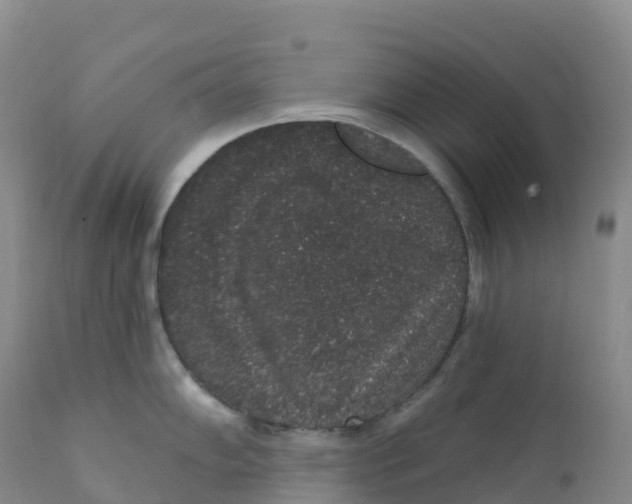 X0000111831102200908131540