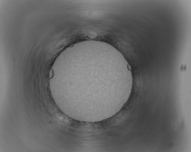 X0000111831105200908131539