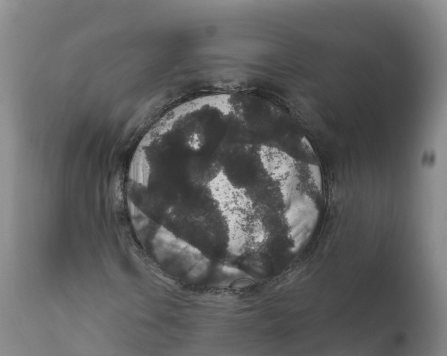 X0000111831106200908131539