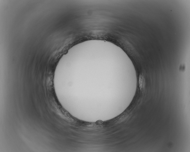 X0000111831107200908131539