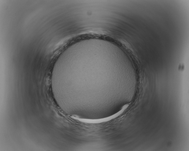 X0000111831110200908131540