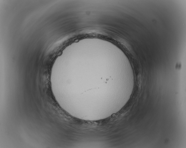 X0000111831111200908131540