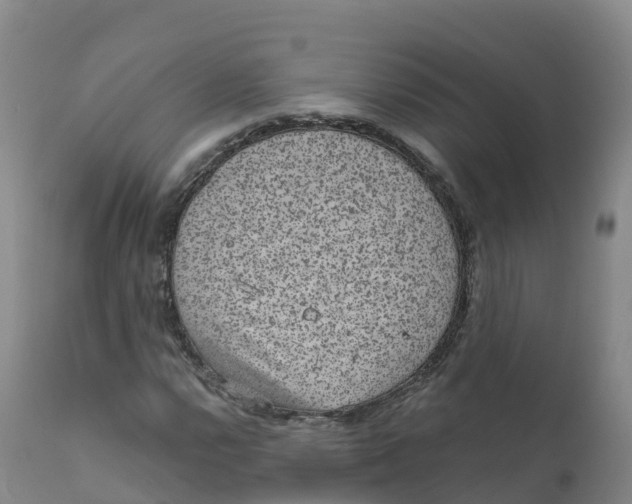 X0000111831112200908131540