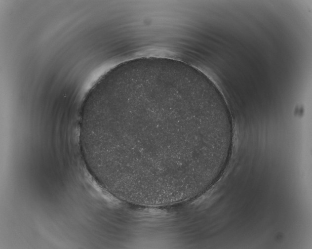 X0000111831115200908131540