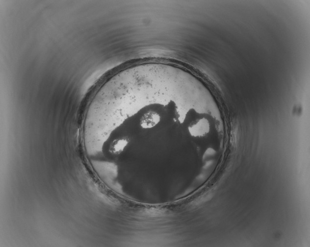 X0000111831117200908131540